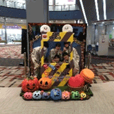 ハロウィンフォトスポット